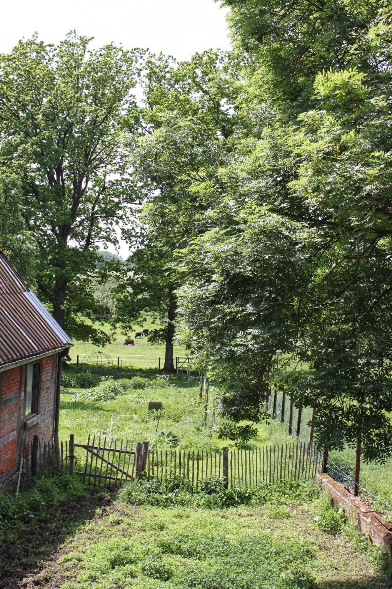 Ferienwohnung Auf Der Ruebenburg Barnsen エクステリア 写真
